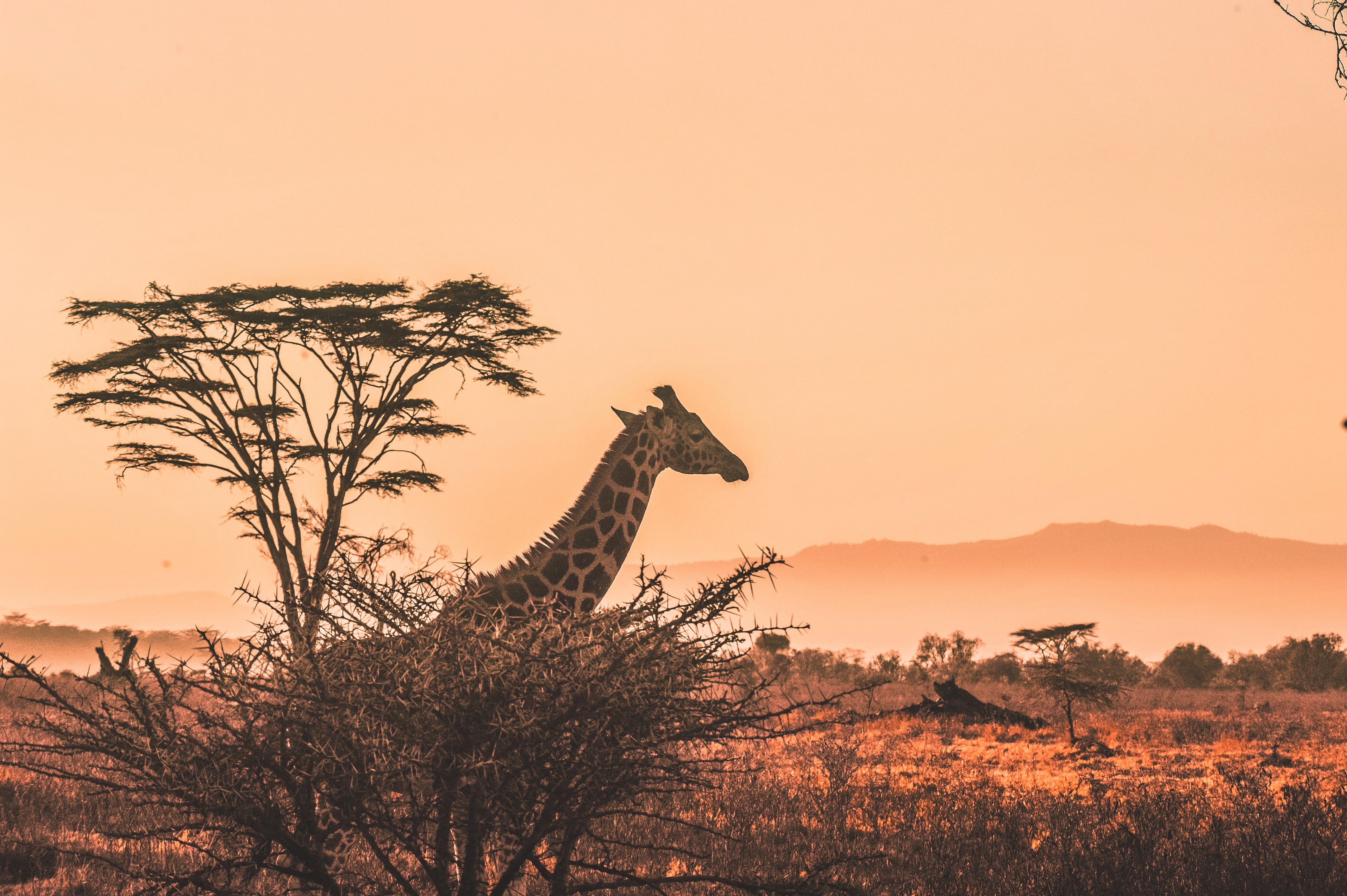 Seguro de Viagem África